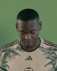 Mls Portland GIF by Timbers