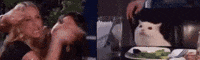 The Real Housewives Of Beverly Hills Cat GIF by MOODMAN
