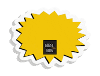 guzelgida vegan organic glutenfree indirim Sticker