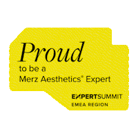 Summit Expert Sticker by MerzAesthetics