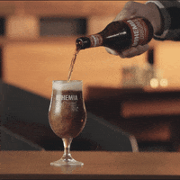 CervejaBohemia amigos cerveja verao brinde GIF