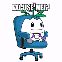 Excuse Me What GIF by Magic Eden