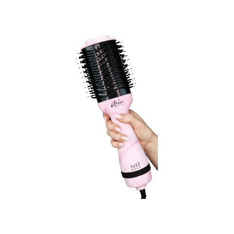 ariabeauty giphygifmaker brush aria blowdry Sticker