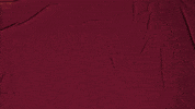 College Baseball GIF by Pearl River Athletics