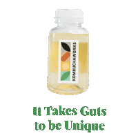 Tea Remedy Sticker by Kombucha Works