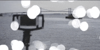 delaware GIF