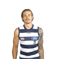 tom stewart football Sticker by geelongcats