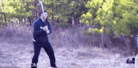 ridiculous GIF
