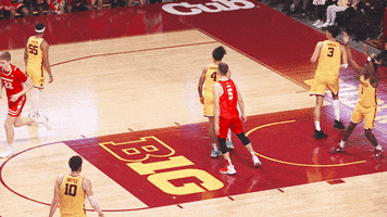 Lets Go Sport GIF by Wisconsin Badgers