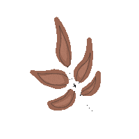 Fall Autumn Sticker