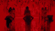 More And More Mm GIF