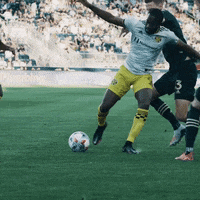 Major League Soccer Mls GIF by Philadelphia Union