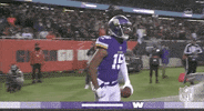 Minnesota Vikings Football GIF by NFL