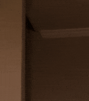 girl shot GIF