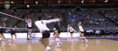 Womens Volleyball Wow GIF by NCAA Championships