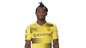 borussia dortmund dance Sticker by Bundesliga
