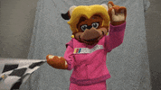 Happy Flag GIF by The NASCAR Foundation