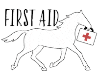 First Aid Horse Sticker by Saddle and Sage