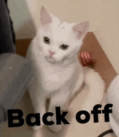 Back Off Kami GIF