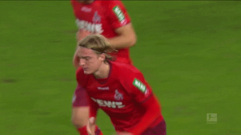 1 Fc Cologne Football GIF by 1. FC Köln