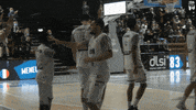 Champions League Fight GIF by JDA Dijon Basket