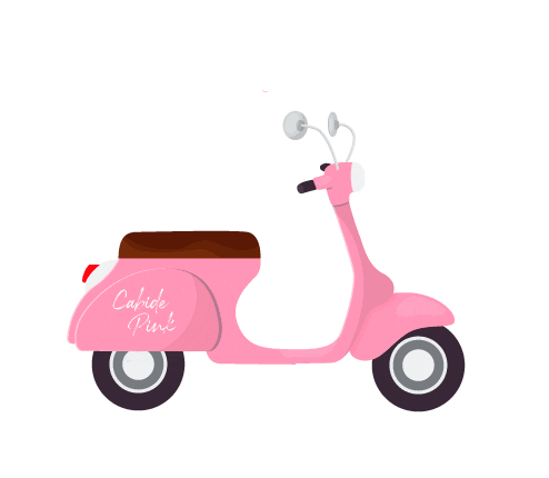 cabidepinkboutique giphyupload cabidepink cabidepinkboutique Sticker