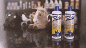 GIF by Mane 'n Tail