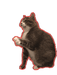 Cat Sticker