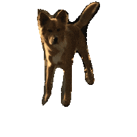 Arthur Doggie Sticker by Alex Anderson