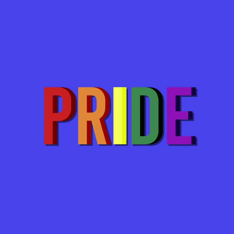 Gay Pride Rainbow GIF by Todd Rocheford