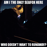 runaway GIF by Galantis