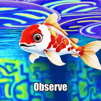 Wisdom Observe GIF by TheConfishius