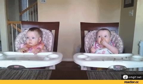 twins GIF