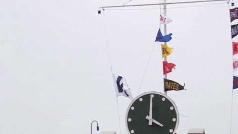 Chicago Cubs Flags GIF by TheDreamTeam 