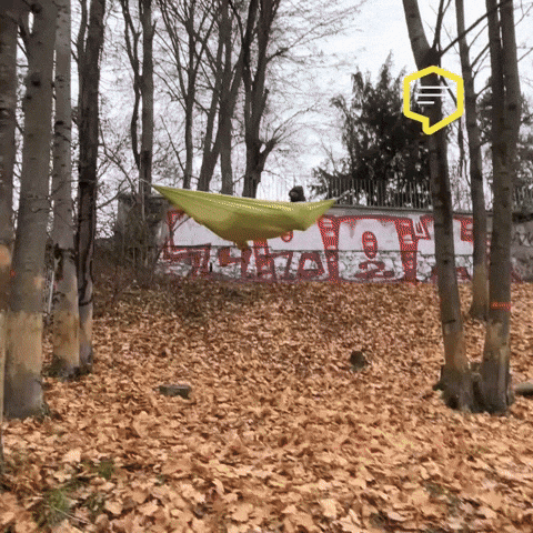 Police Omg GIF by Linz News