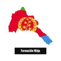Flag Bandera Sticker by Formación Ninja