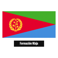 Flag Pixel Art Sticker by Formación Ninja