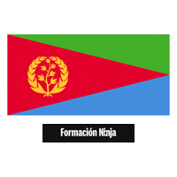 Flag Bandera Sticker by Formación Ninja