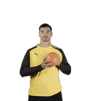 mhbofficiel sport handball ehf montpellier Sticker