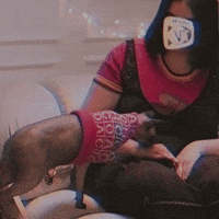 Pet Kisses GIF by Coach
