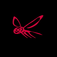 Horse Insect GIF by ZEDAN