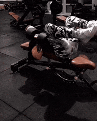 Gym Muscles GIF
