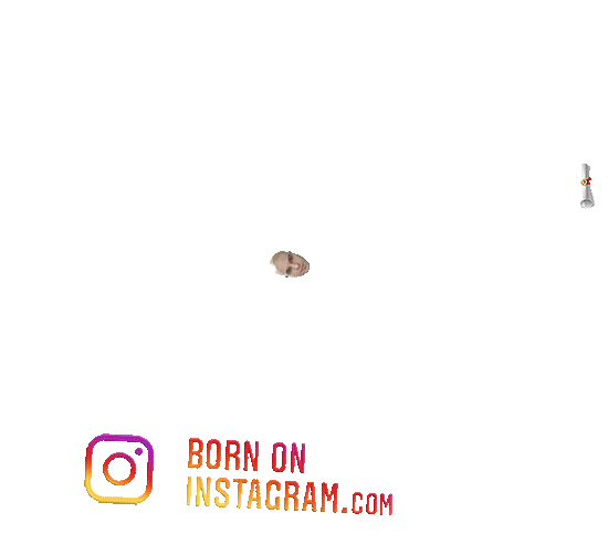 Kk950Boi Sticker by BORN ON INSTAGRAM