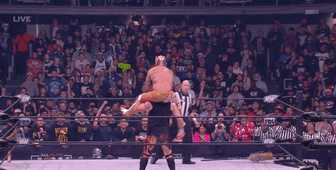 The Elite Wrestling GIF by AEWonTV