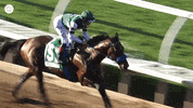 Racehorse Flightline GIF by World Horse Racing
