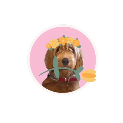 Dog Flowers Sticker
