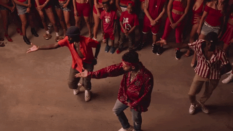 No Guidance GIF by Chris Brown