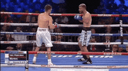 top rank sport GIF by Top Rank Boxing