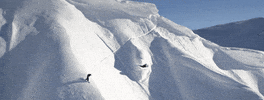 snow snowboard GIF by Red Bull
