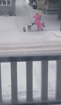 Man in Pink Unicorn Costume Clears Snow